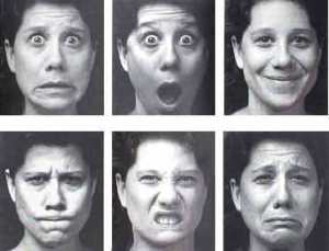 4a23ba95a1aa9a1fb3622e591cec78f0-1