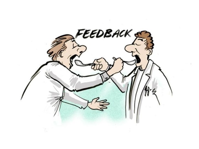 feedback