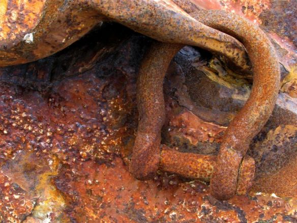 onderwerp roest 2009 010aa.jpg