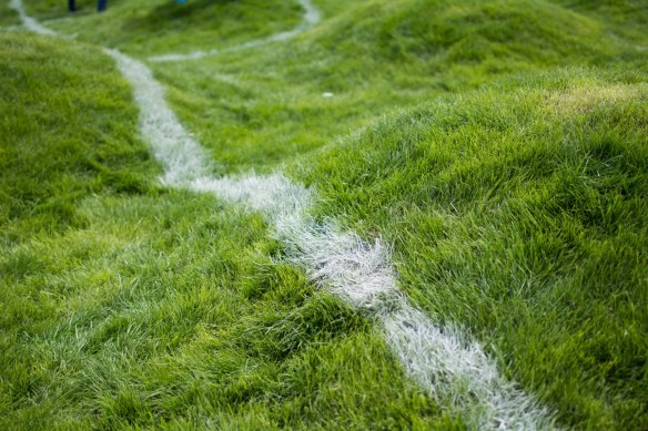 Untitled(soccer-pitch)2.jpg