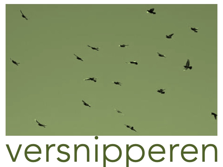 Versnipperen.jpg