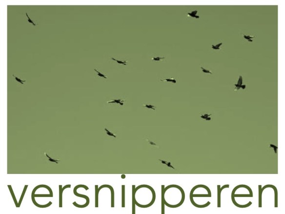 Versnipperen.jpg